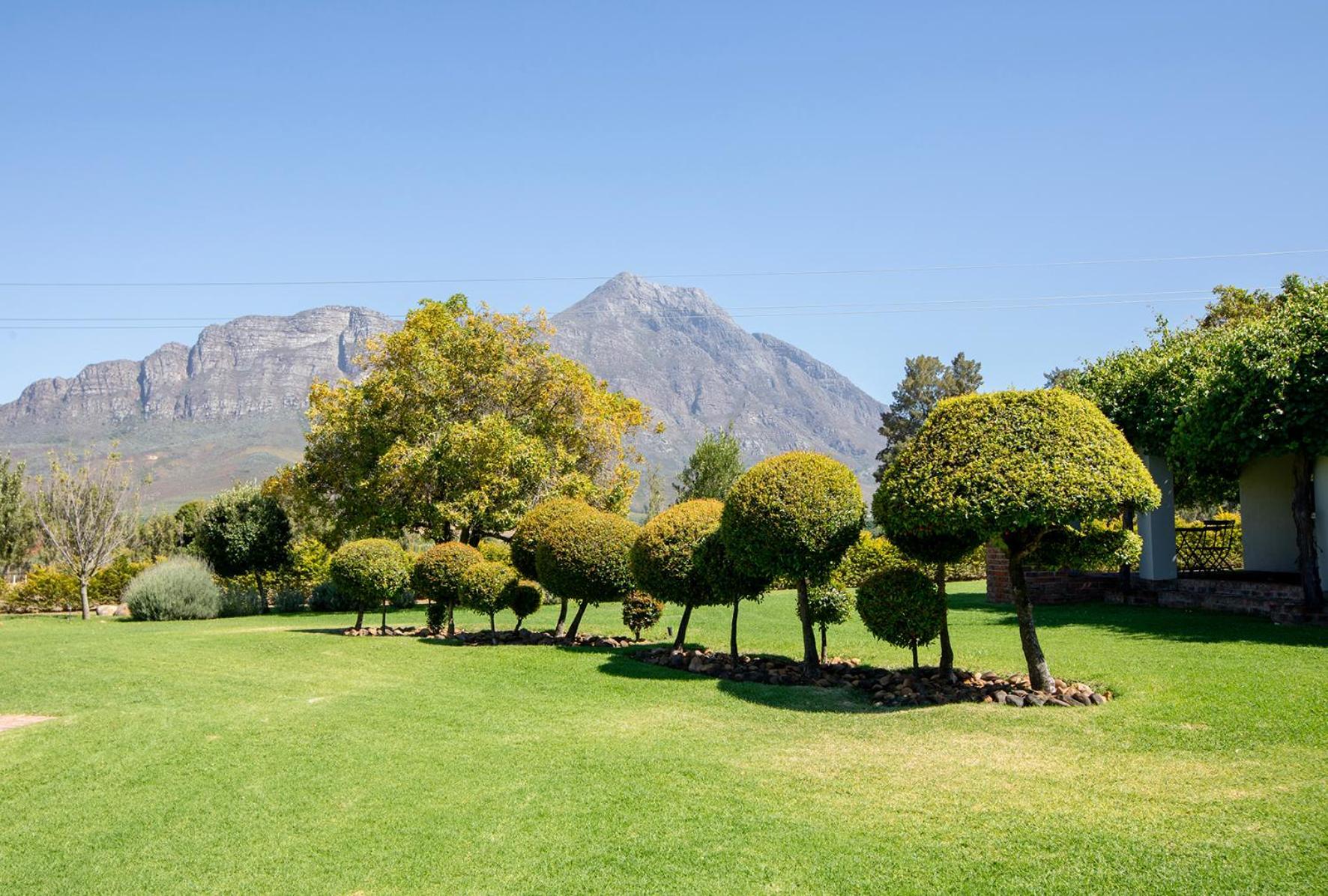 Saronsberg Vineyard Cottages Tulbagh Extérieur photo