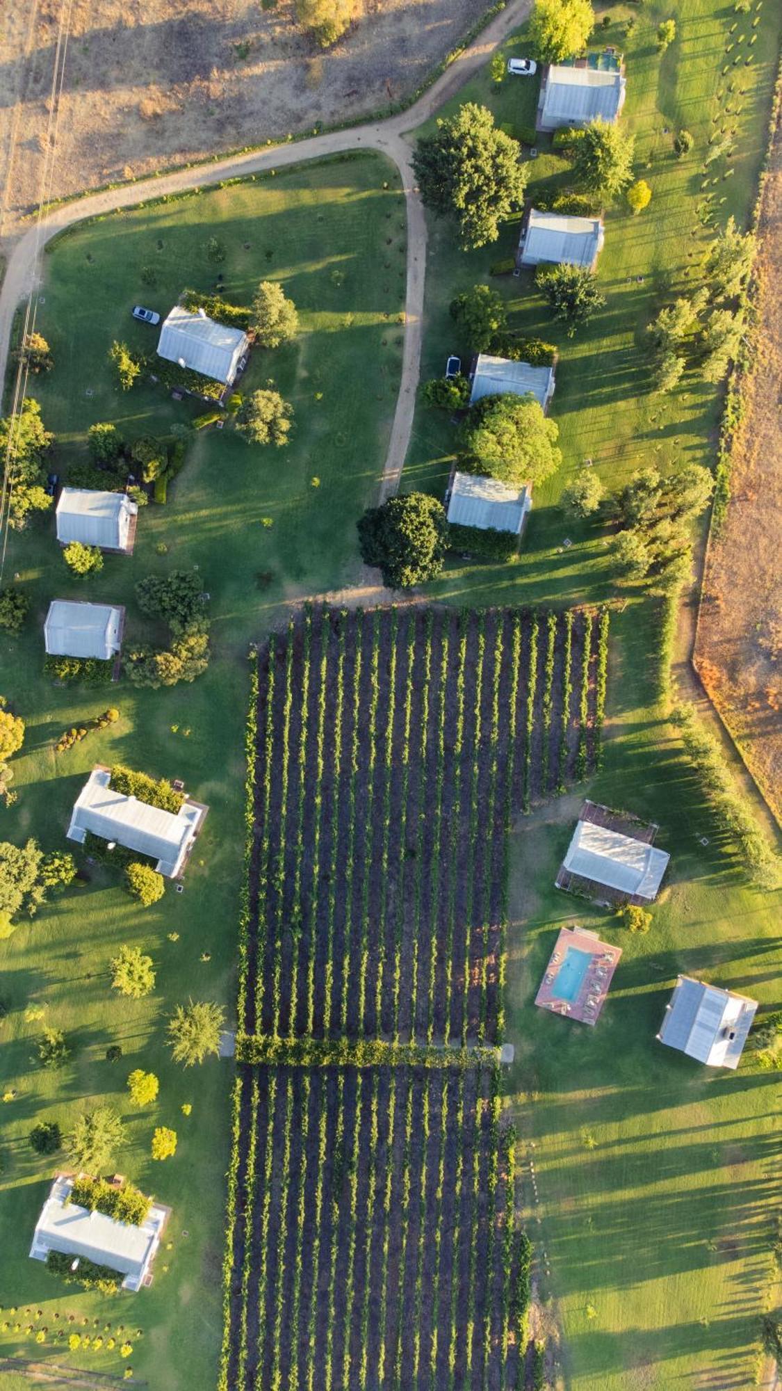 Saronsberg Vineyard Cottages Tulbagh Extérieur photo