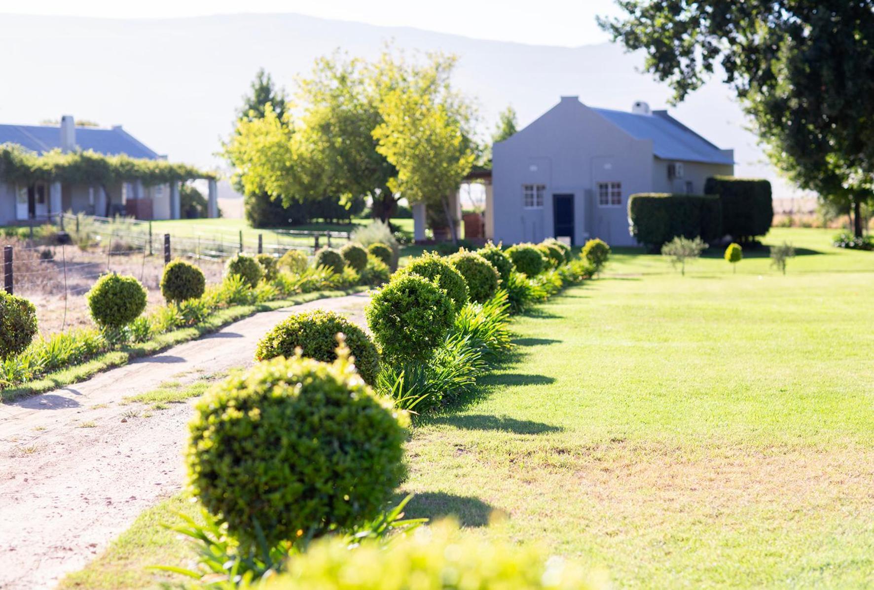 Saronsberg Vineyard Cottages Tulbagh Extérieur photo