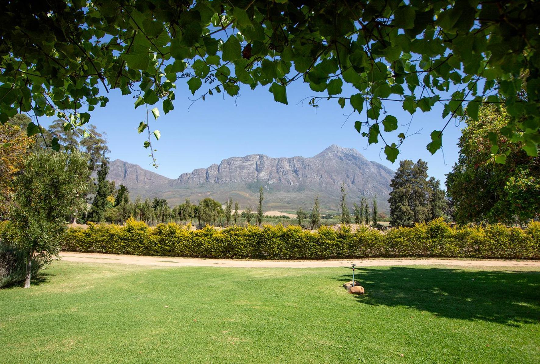 Saronsberg Vineyard Cottages Tulbagh Extérieur photo