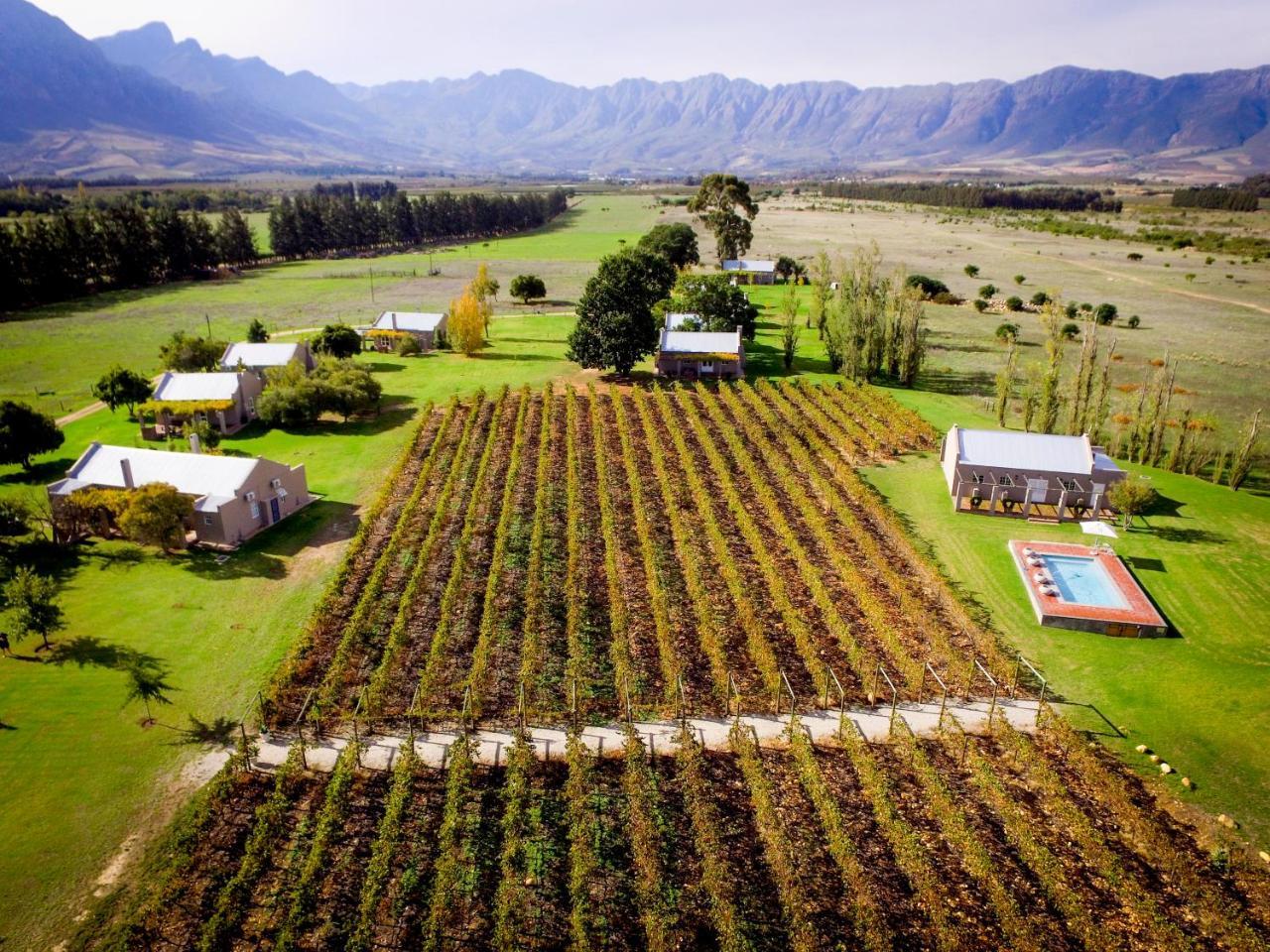 Saronsberg Vineyard Cottages Tulbagh Extérieur photo